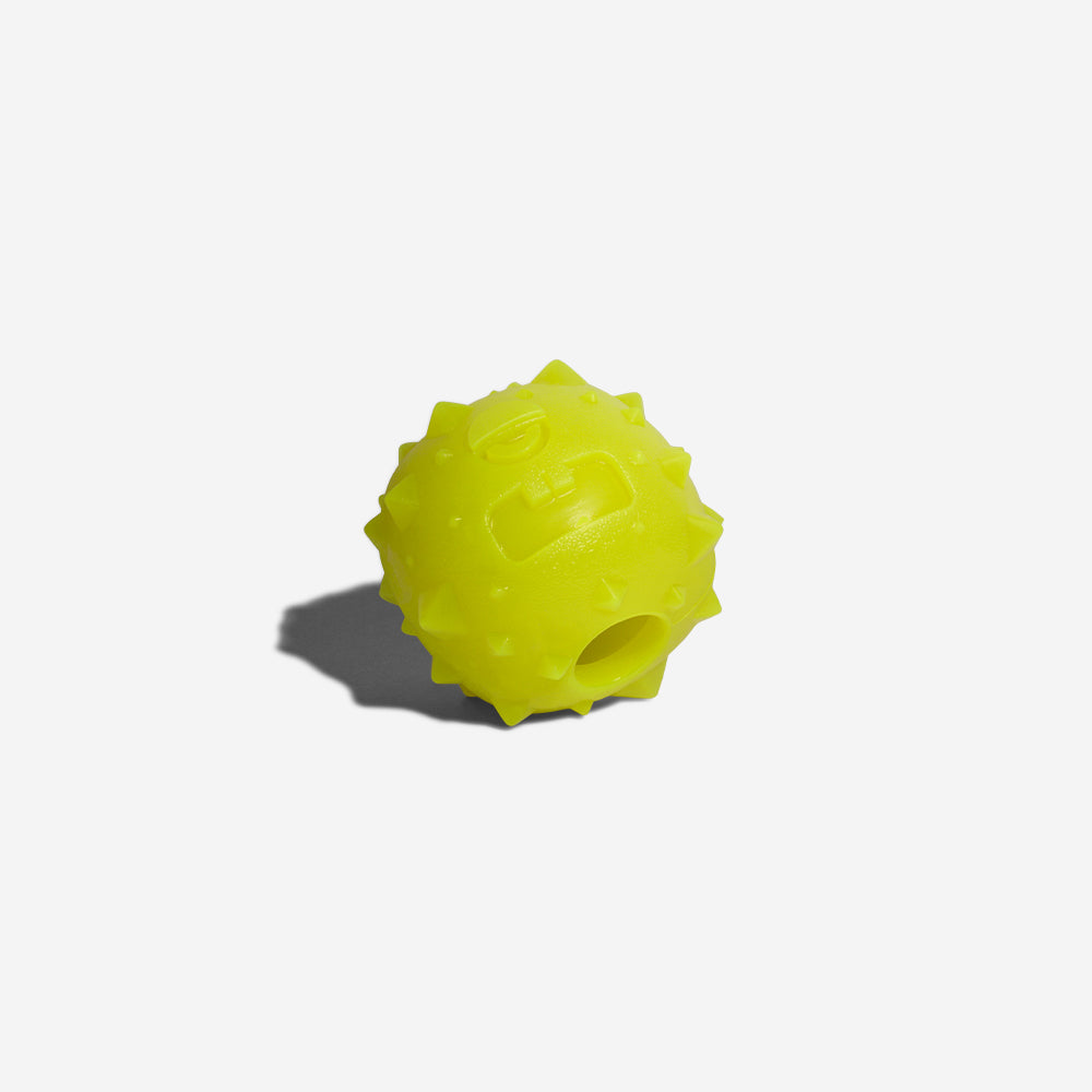 Rob the Microbe Dog Toy