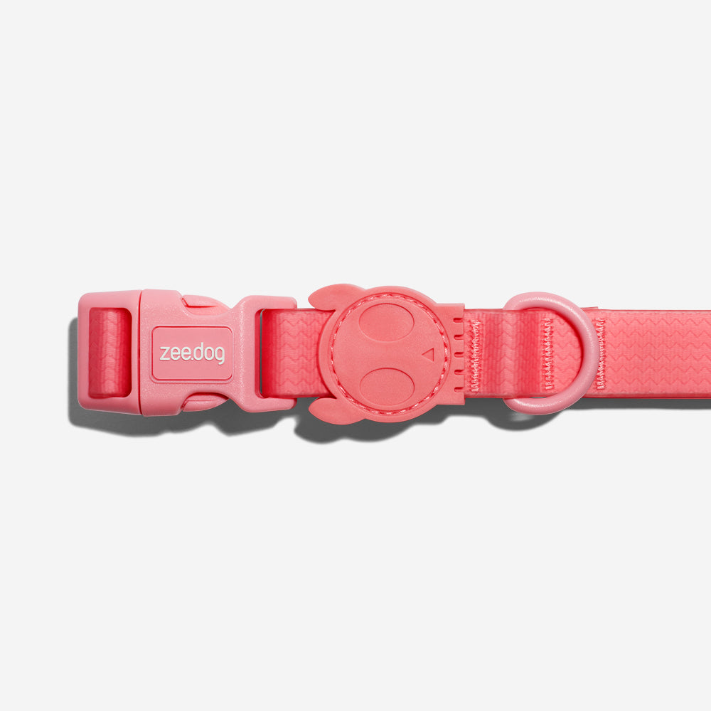 Neopro Bubblegum — Collar