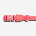 Neopro Bubblegum — Collar